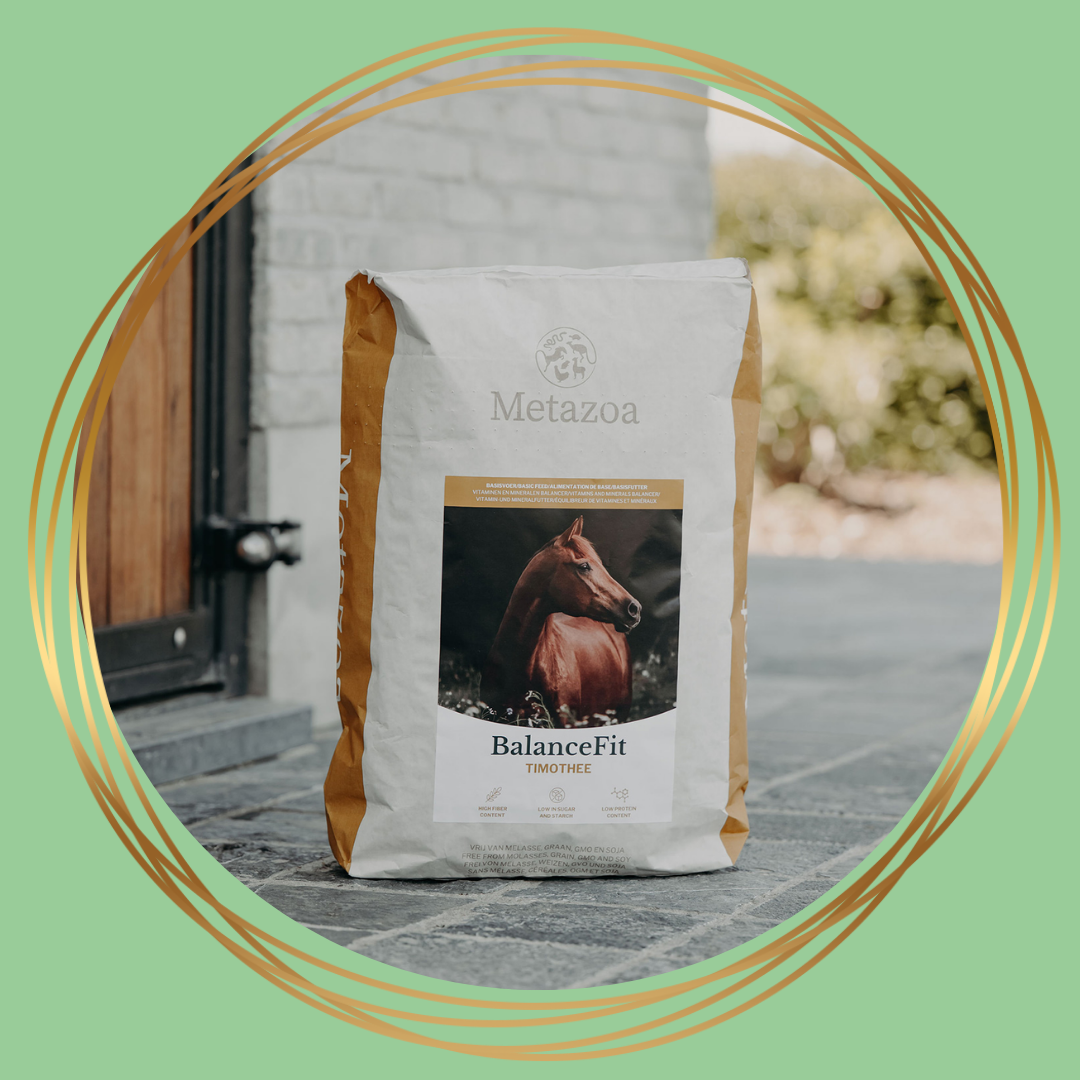Metazoa | BalanceFit Timothee (voorheen: Fitright Timothee)