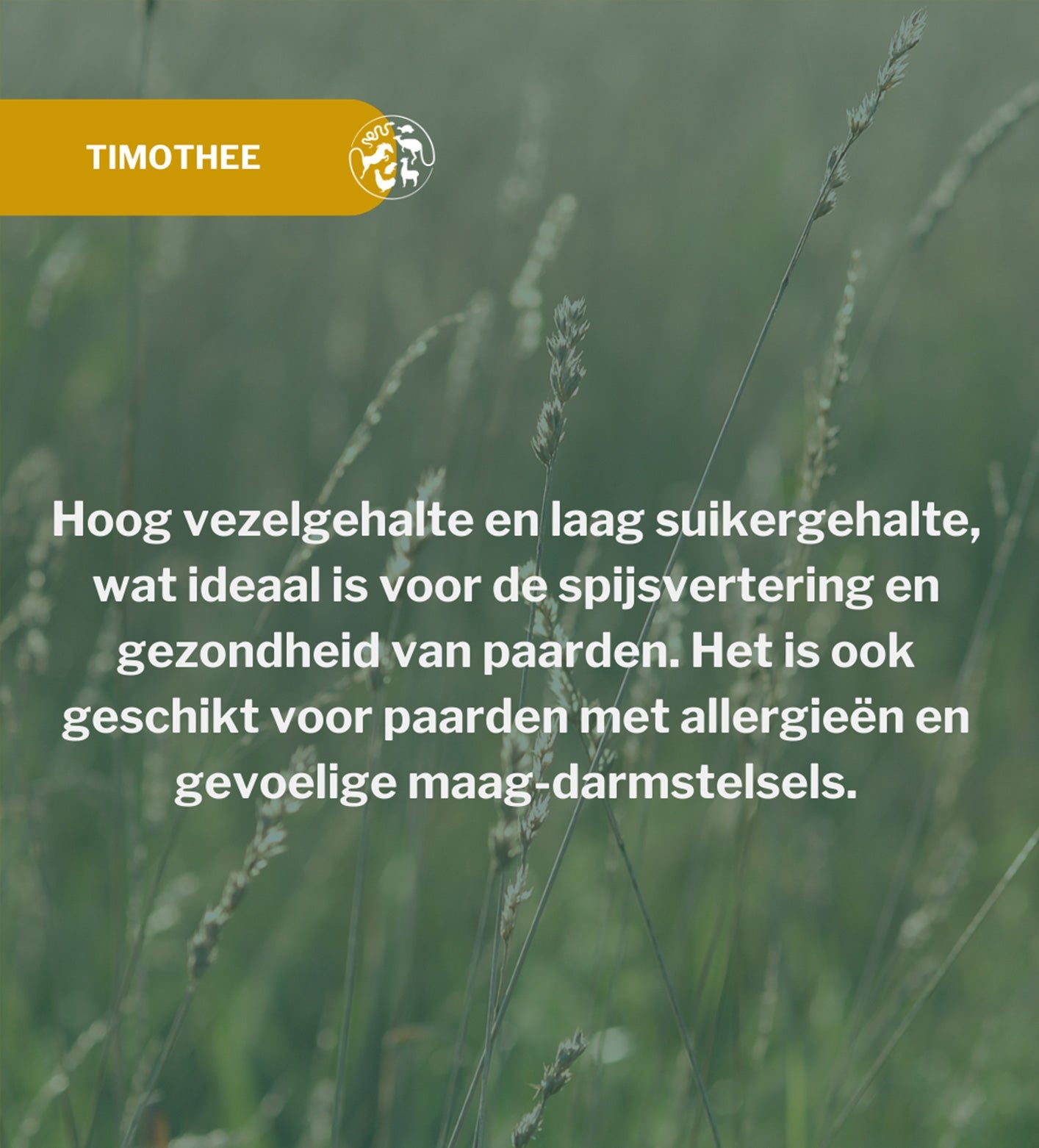 Metazoa | NaturalFit Care (voorheen: Carefit Timothee)