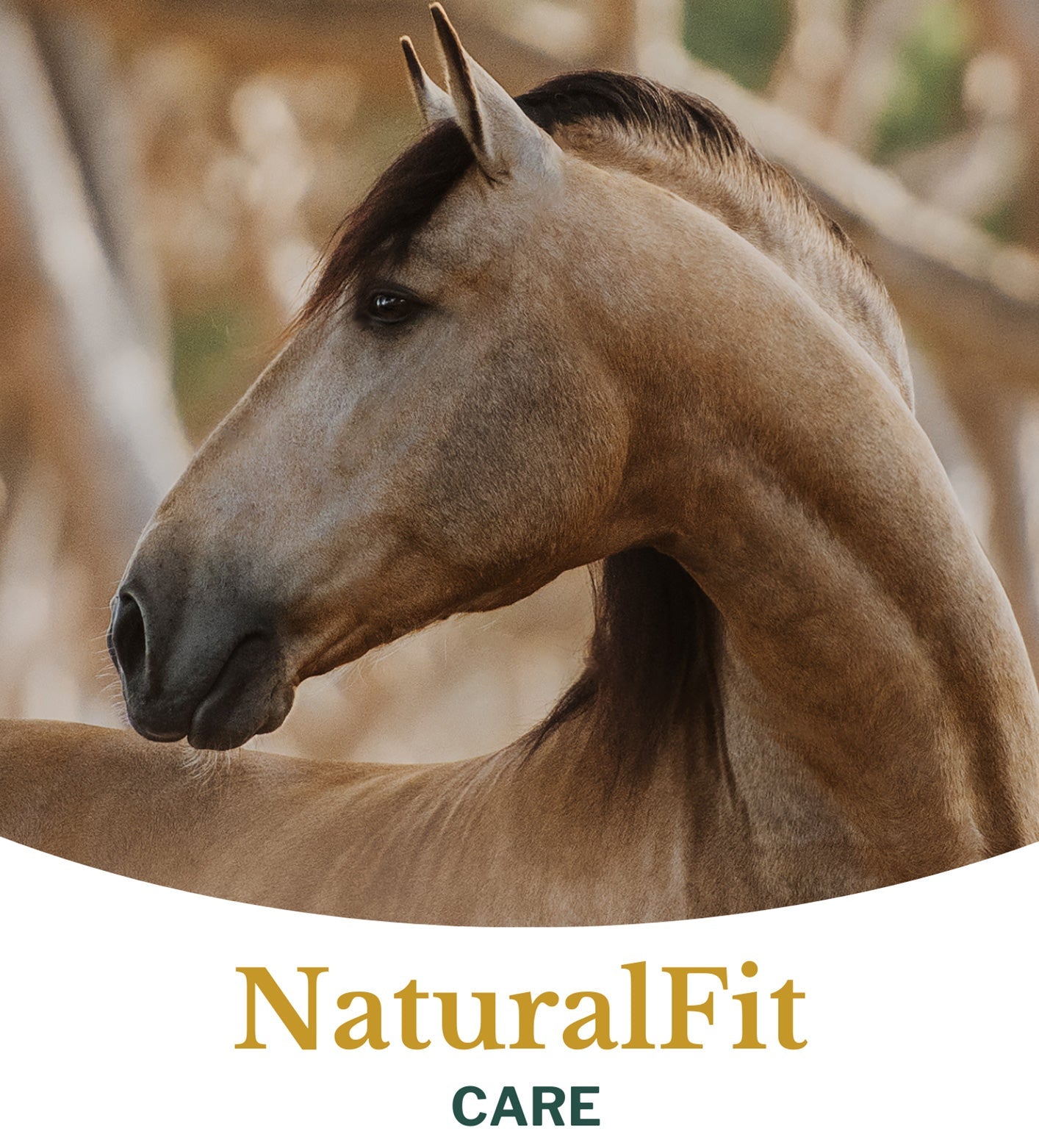 Metazoa | NaturalFit Care (voorheen: Carefit Timothee)