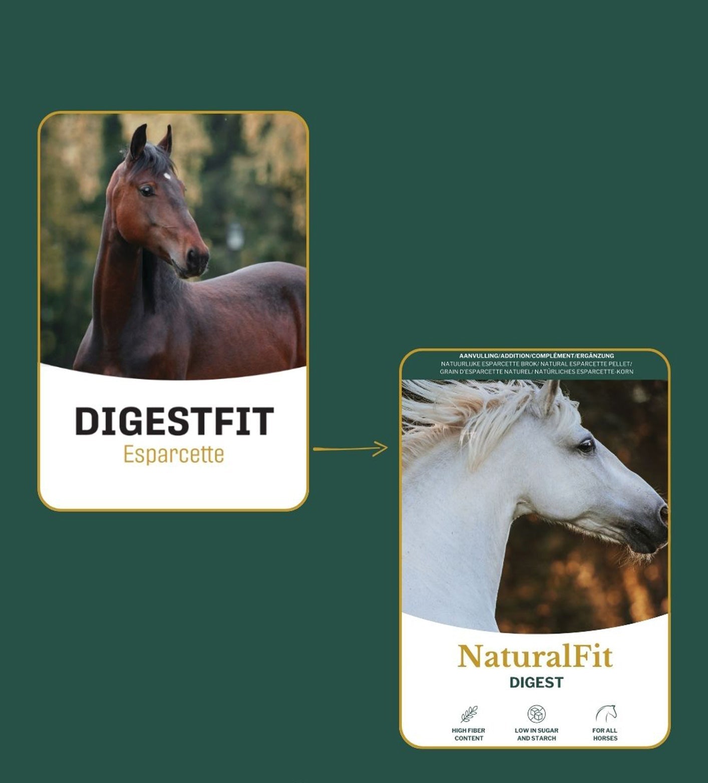 Metazoa | NaturalFit Digest (voorheen: Digestfit Esparcette)