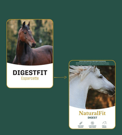 Metazoa | NaturalFit Digest (precedentemente: Digestfit Esparcette)