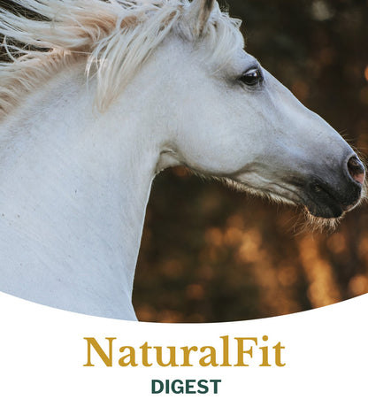 Metazoa | NaturalFit Digest (precedentemente: Digestfit Esparcette)