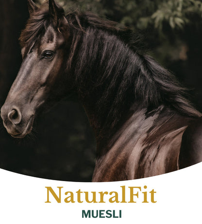 Metazoa | NaturalFit Muesli