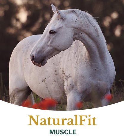 Metazoa | NaturalFit Muscle (precedentemente: MuscleFit HP23)