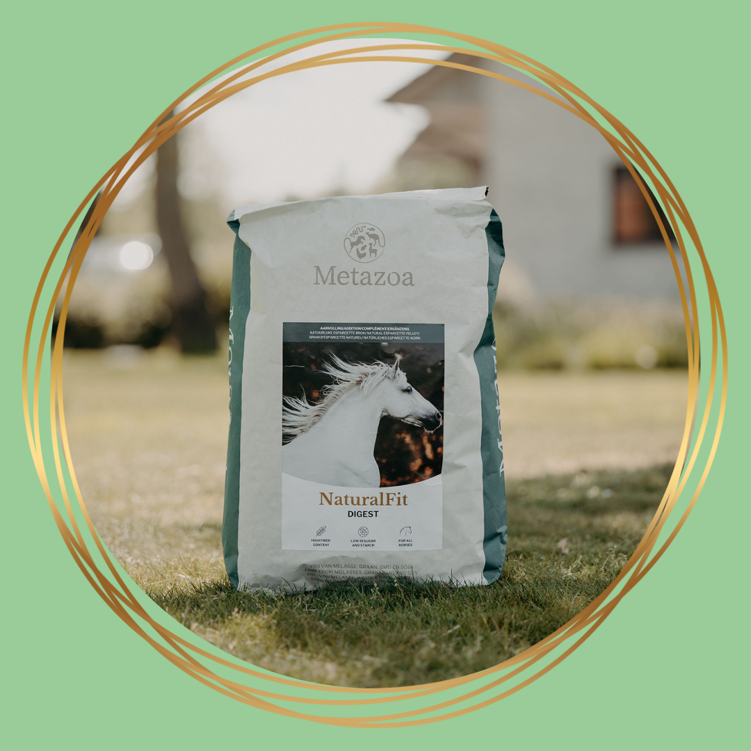 Metazoa | NaturalFit Digest (voorheen: Digestfit Esparcette)