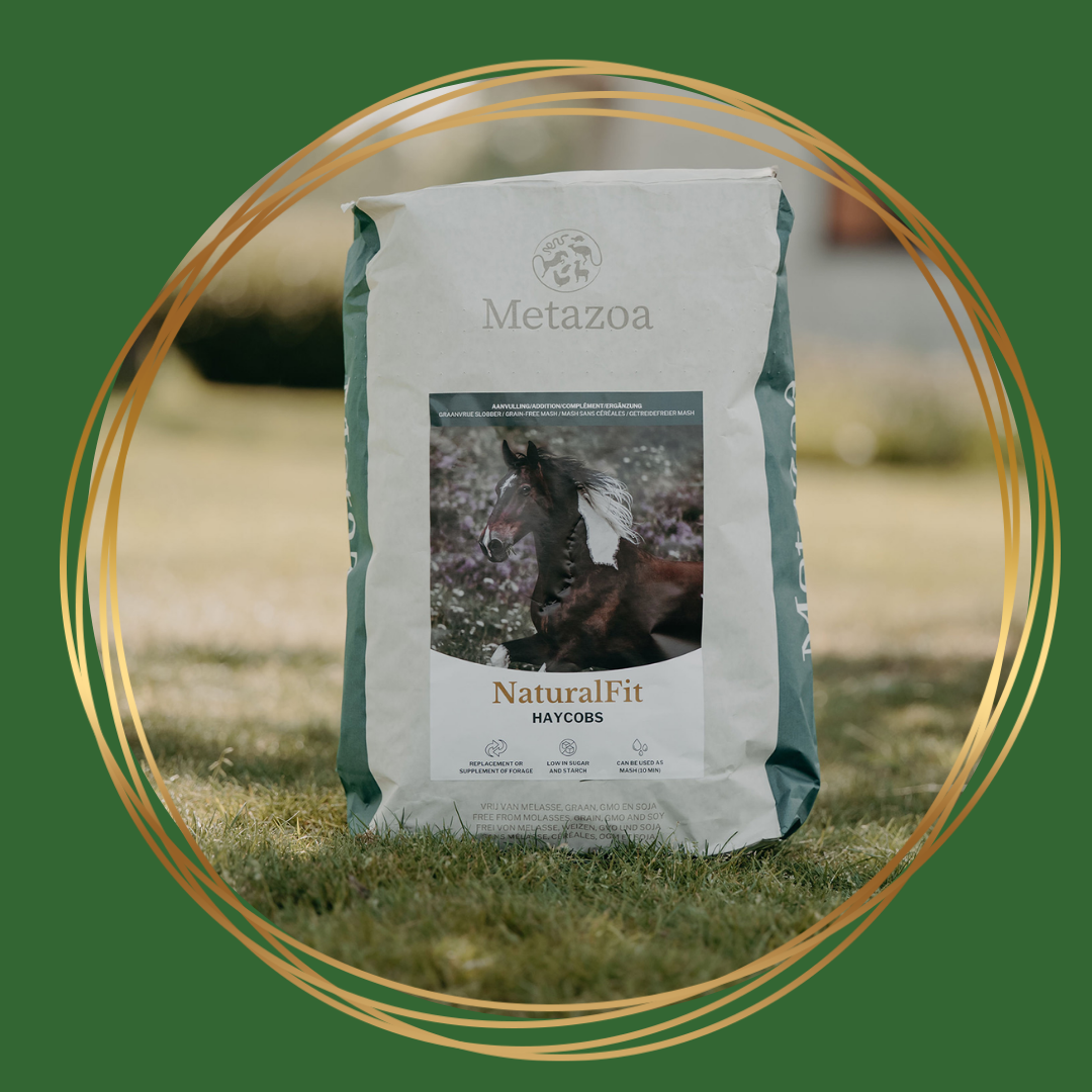 Metazoa | NaturalFit Haycobs Timothee (graanvrije slobber)