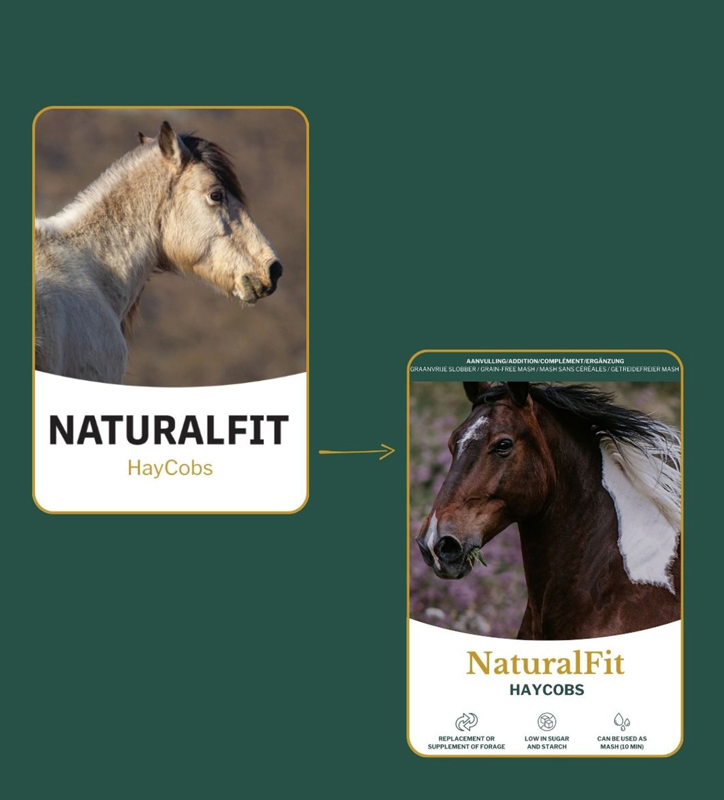 Metazoa | NaturalFit Haycobs Timothee (graanvrije slobber)