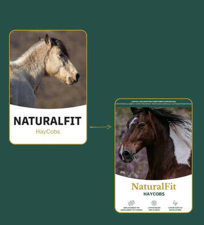 Metazoa | NaturalFit Haycobs Timothee (mangime umido senza cereali)