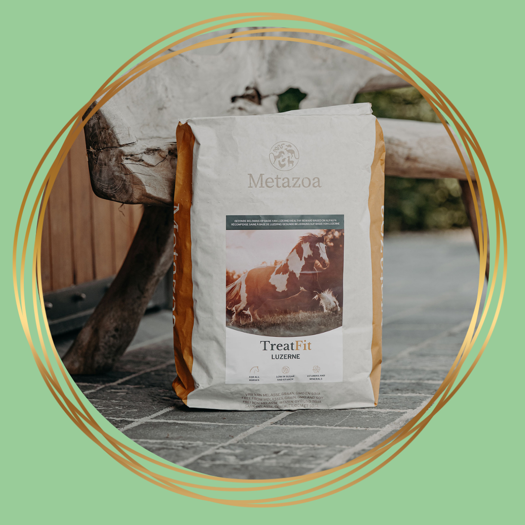 Metazoa | TreatFit Luzerne