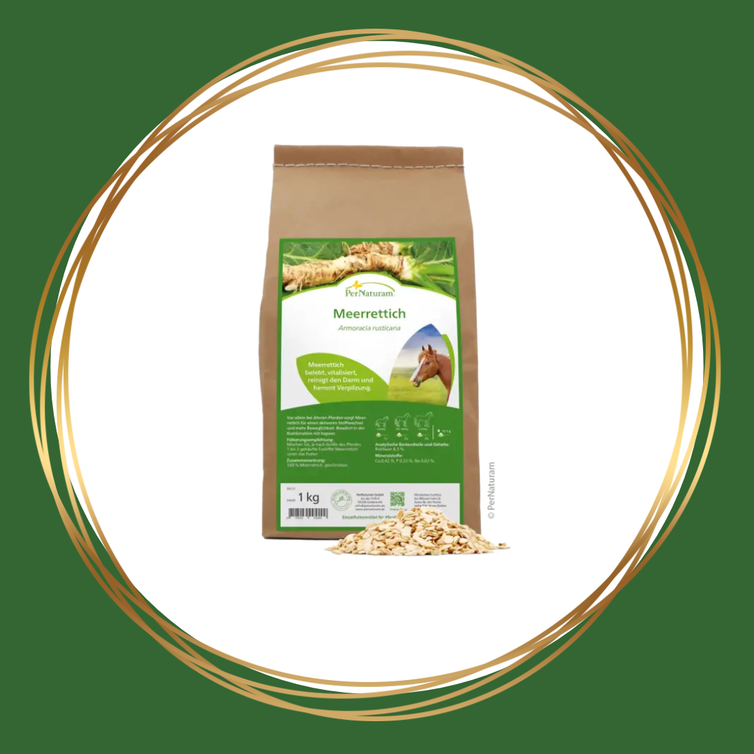 PerNaturam | Meerrettich (mierikswortel)