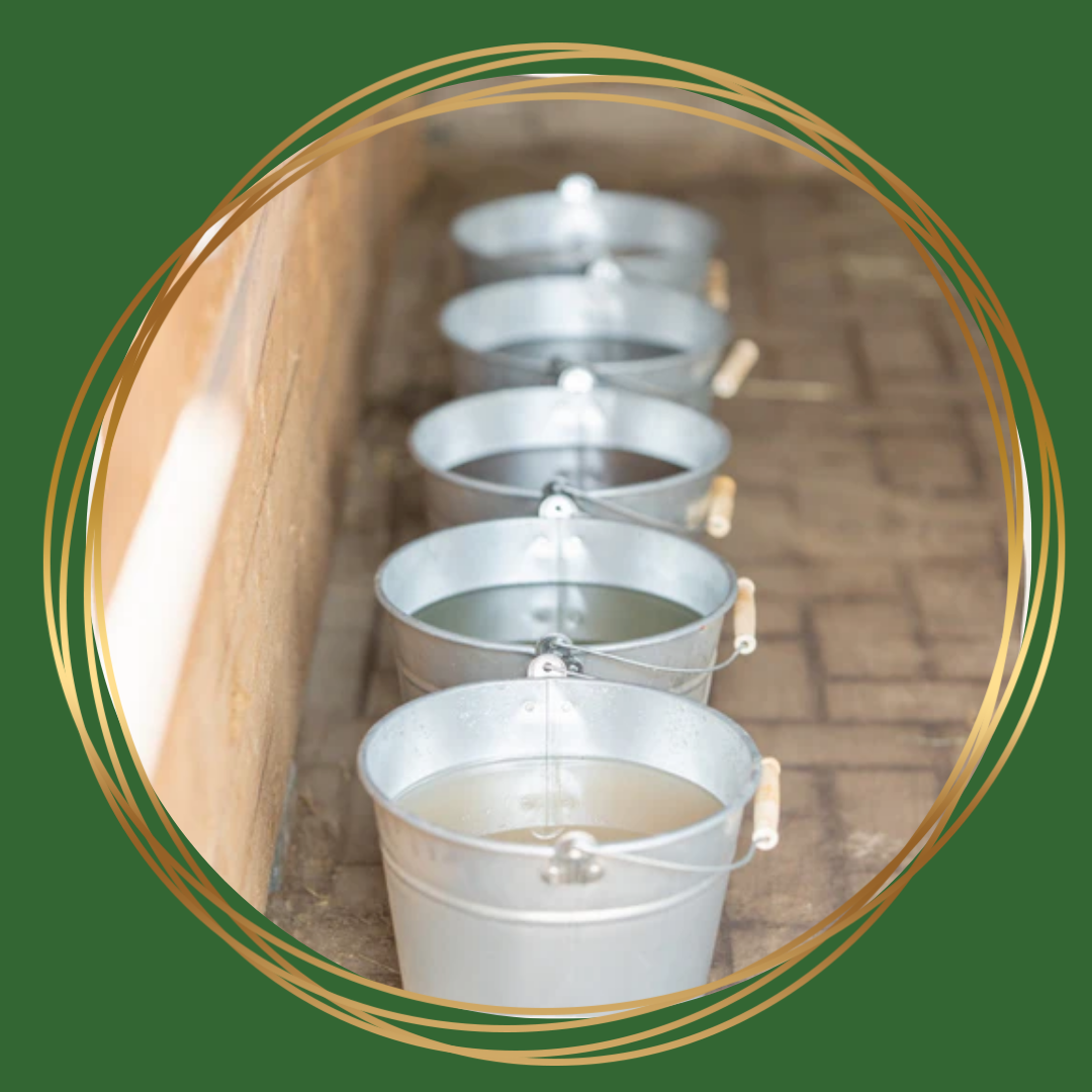 Bio-Ron/Natuly | Mineralenbuffet Groot