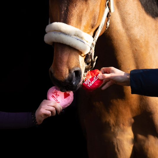 Konska Cukierenka - Luxe paardenkoekjes Mini Cake