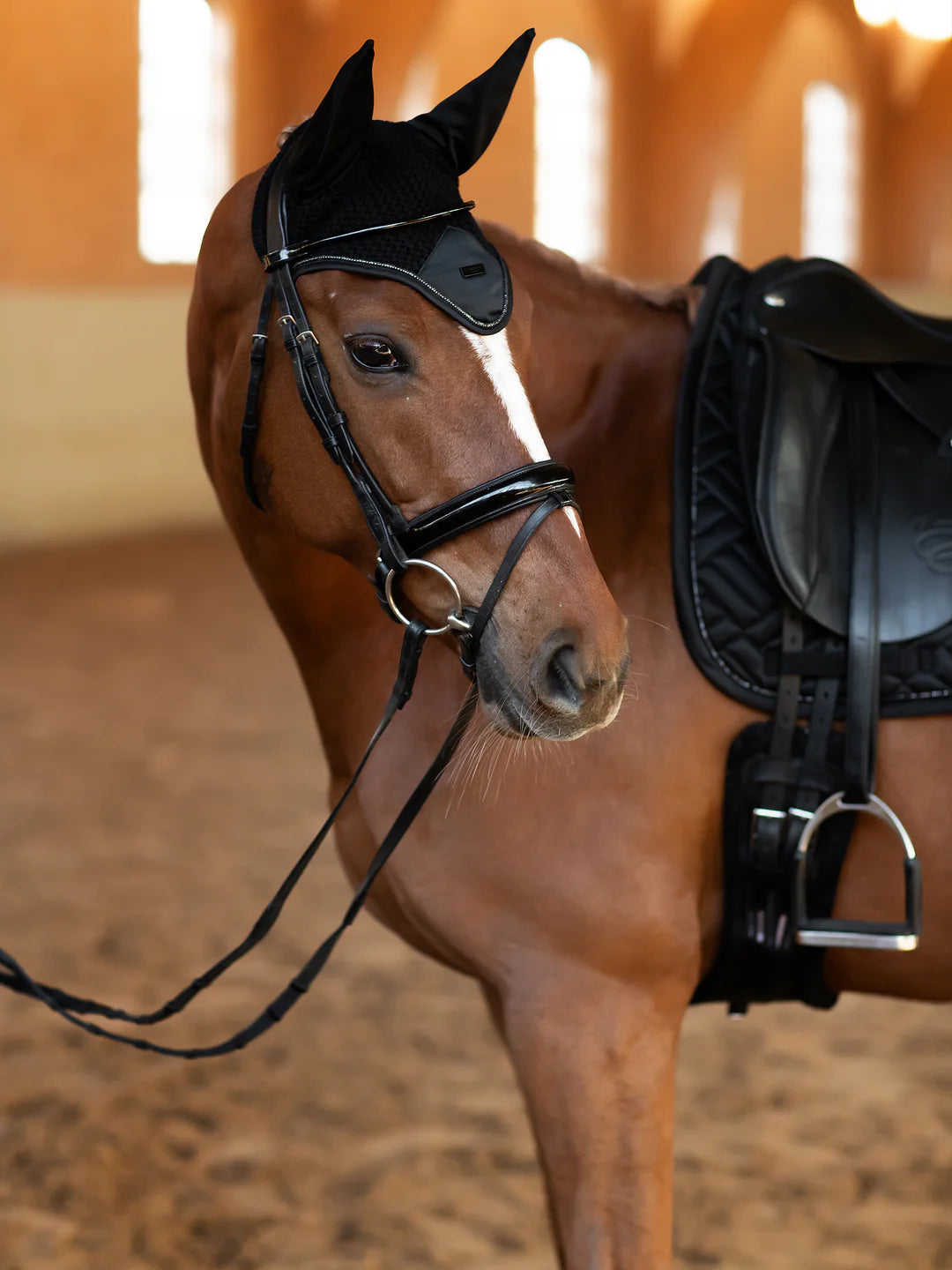 Equestrian Stockholm - Colección Core - Bonete para Orejas Negro Moderno oornetje