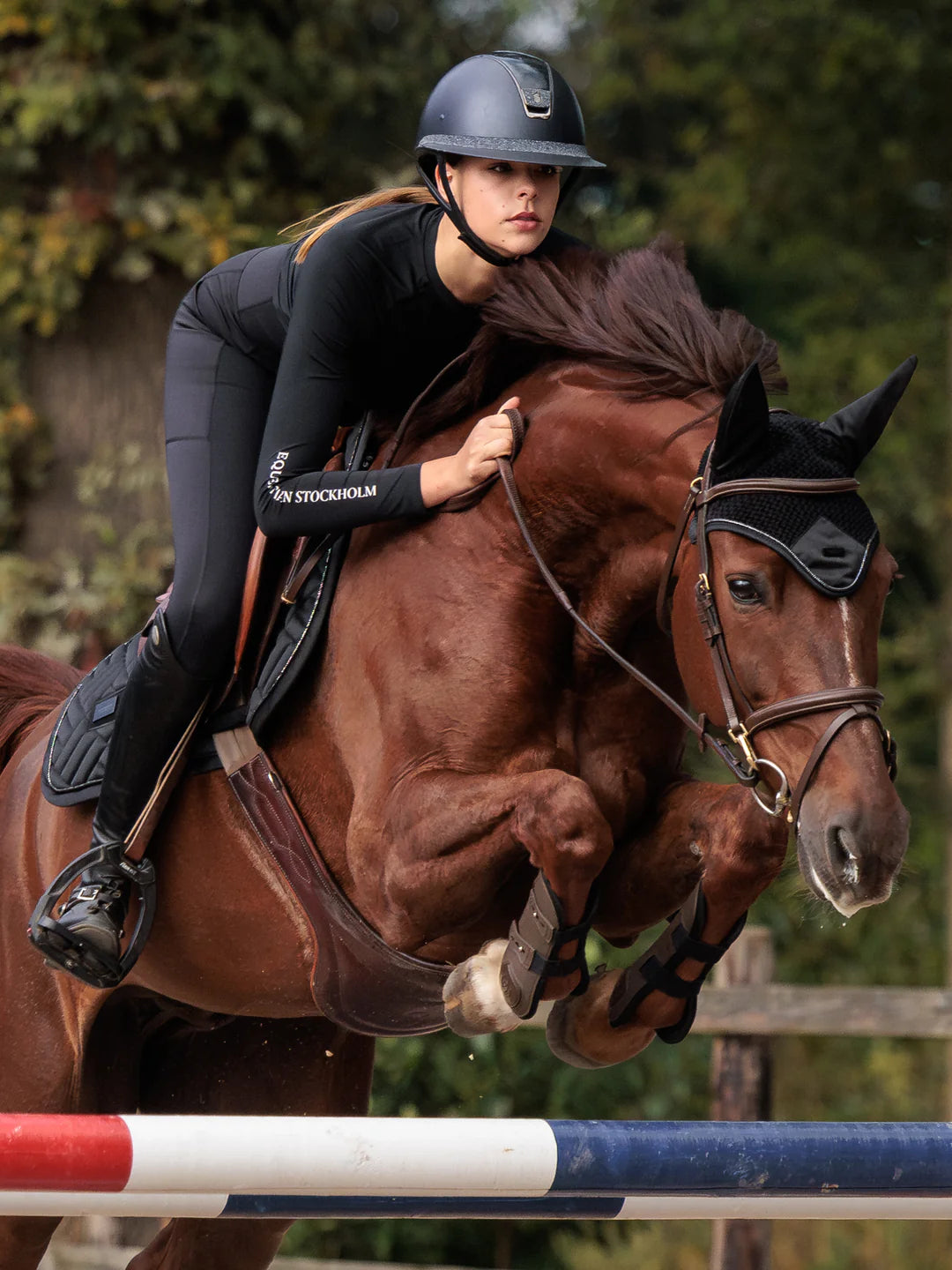 Equestrian Stockholm - Colección Core - Bonete para Orejas Negro Moderno oornetje