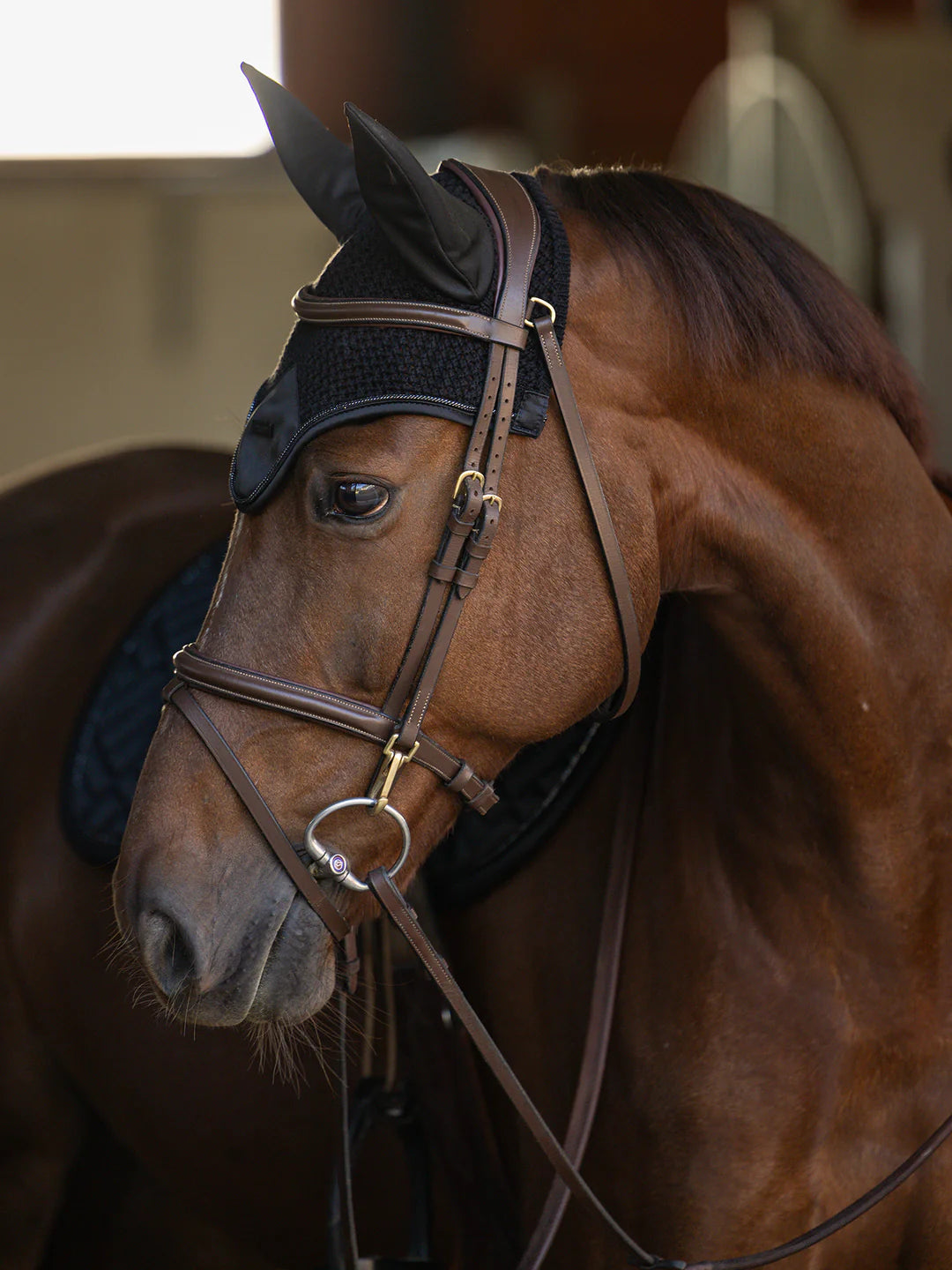 Equestrian Stockholm - Colección Core - Bonete para Orejas Negro Moderno oornetje