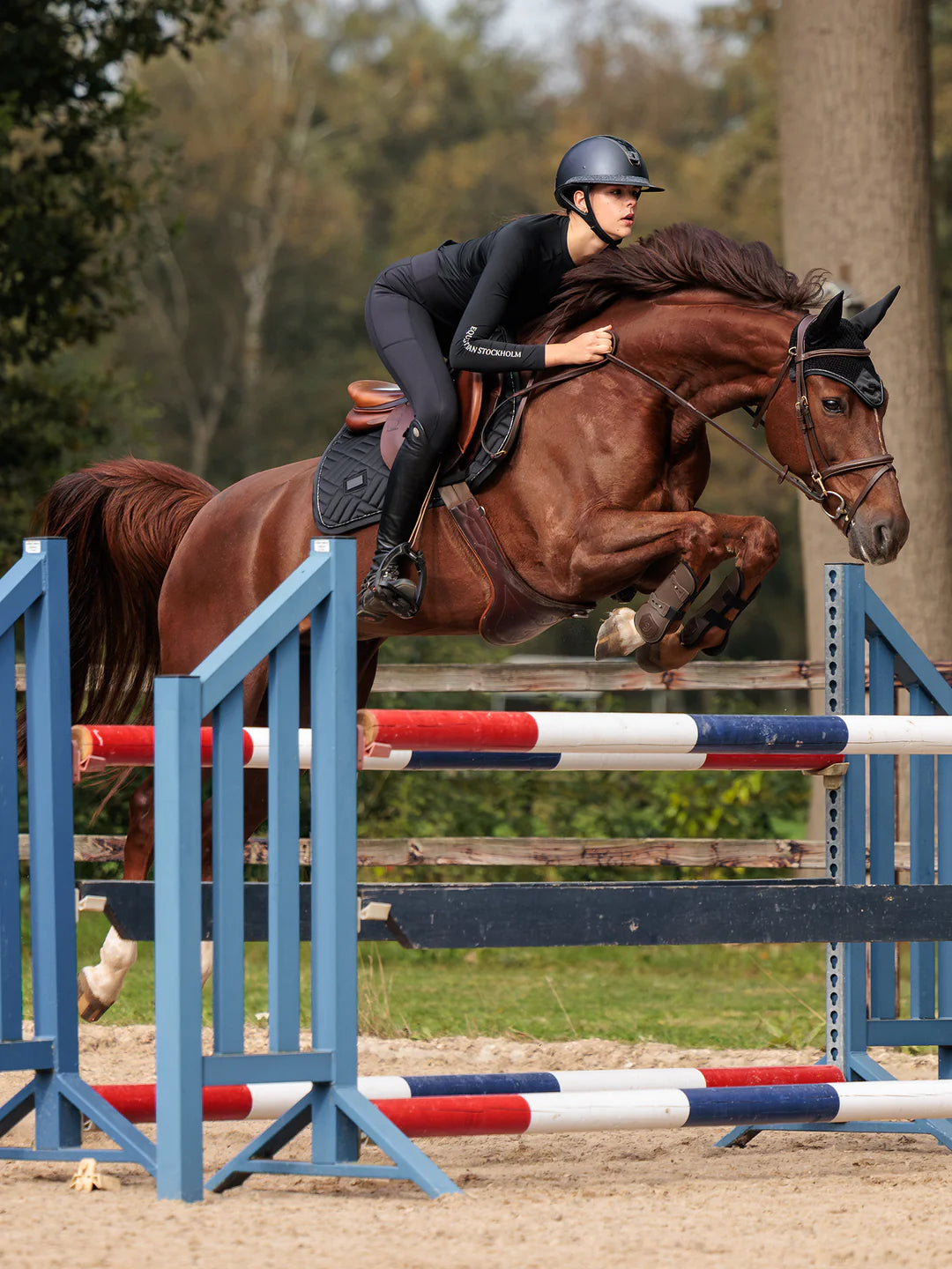 Equestrian Stockholm - Core Collection - Sottosella da salto nero moderno springzadeldek