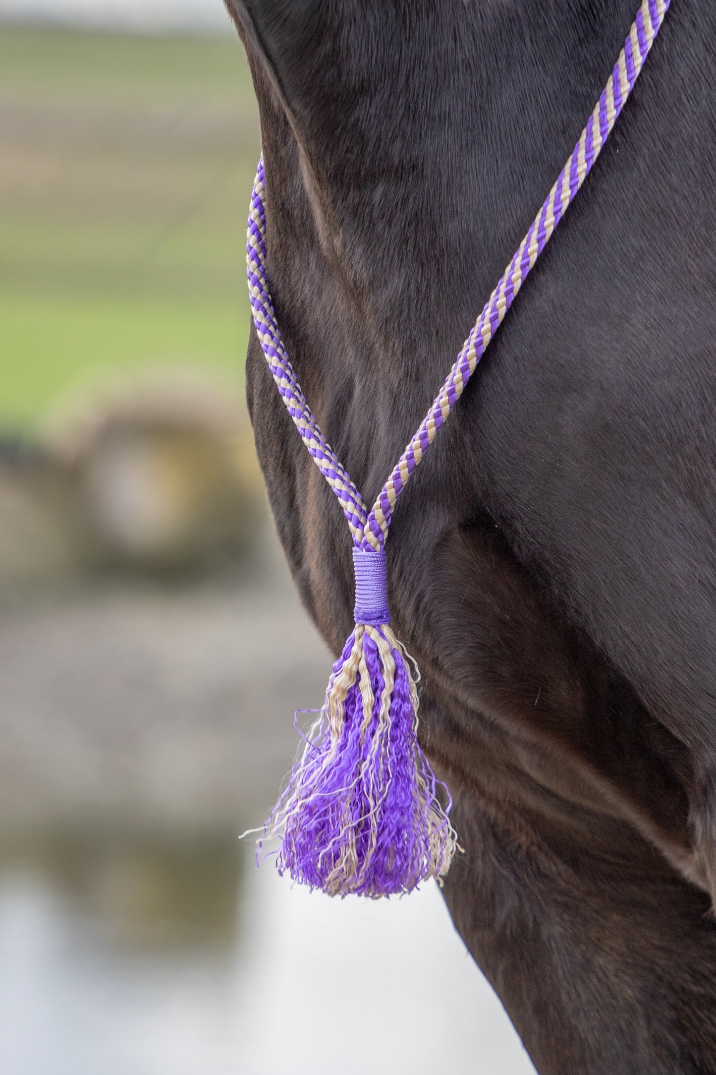 Rope Halter Set Velvet Violet
