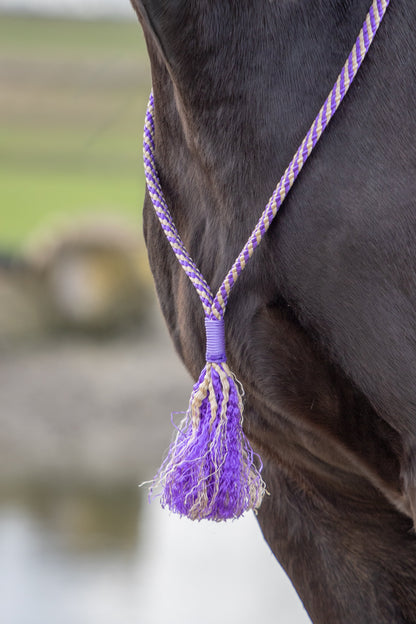 Rope Halter Set Velvet Violet