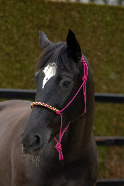 Rope halter with braided noseband cranberry, gold and caramel
