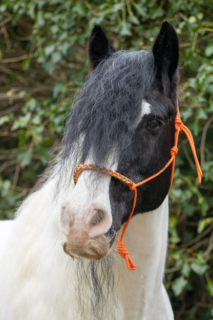 Rope halter with braided noseband orange, gold and caramel