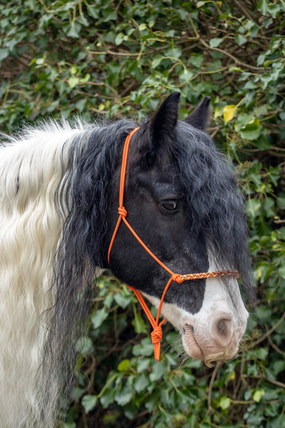 Rope halter with braided noseband orange, gold and caramel