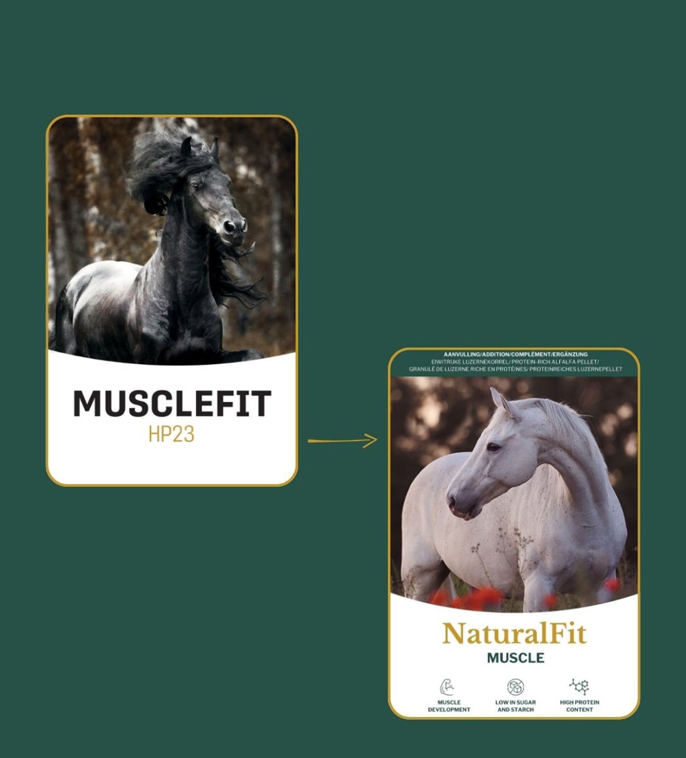 Metazoa | NaturalFit Muscle (voorheen: MuscleFit HP23)