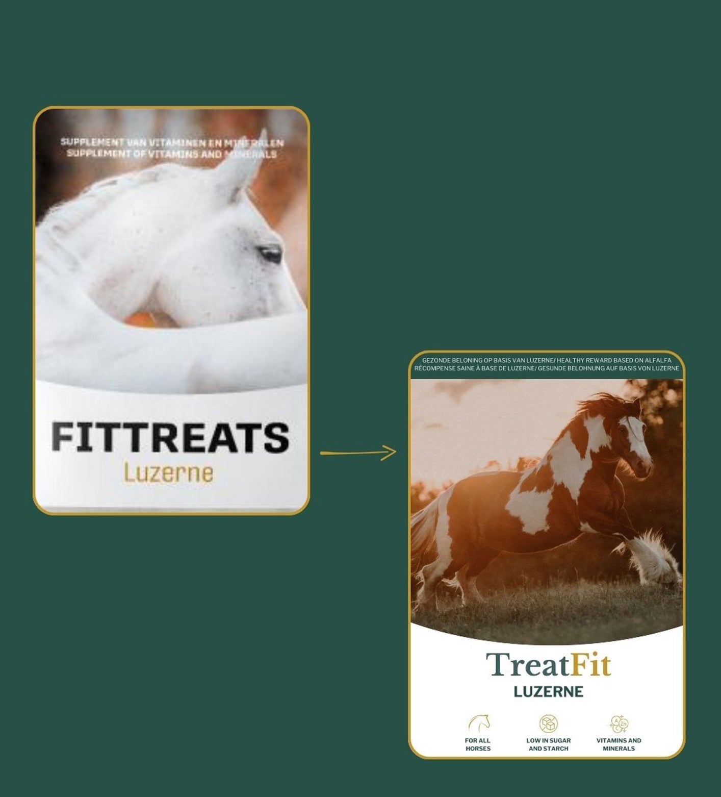 Metazoa | TreatFit Luzerne