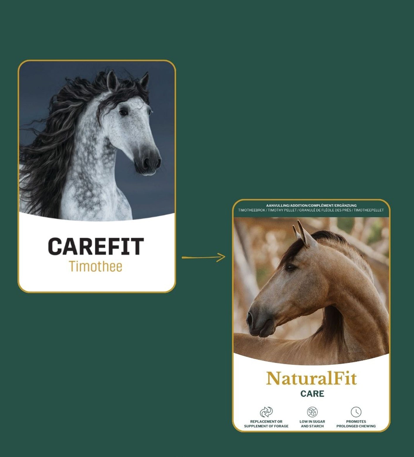 Metazoa | NaturalFit Care (voorheen: Carefit Timothee)