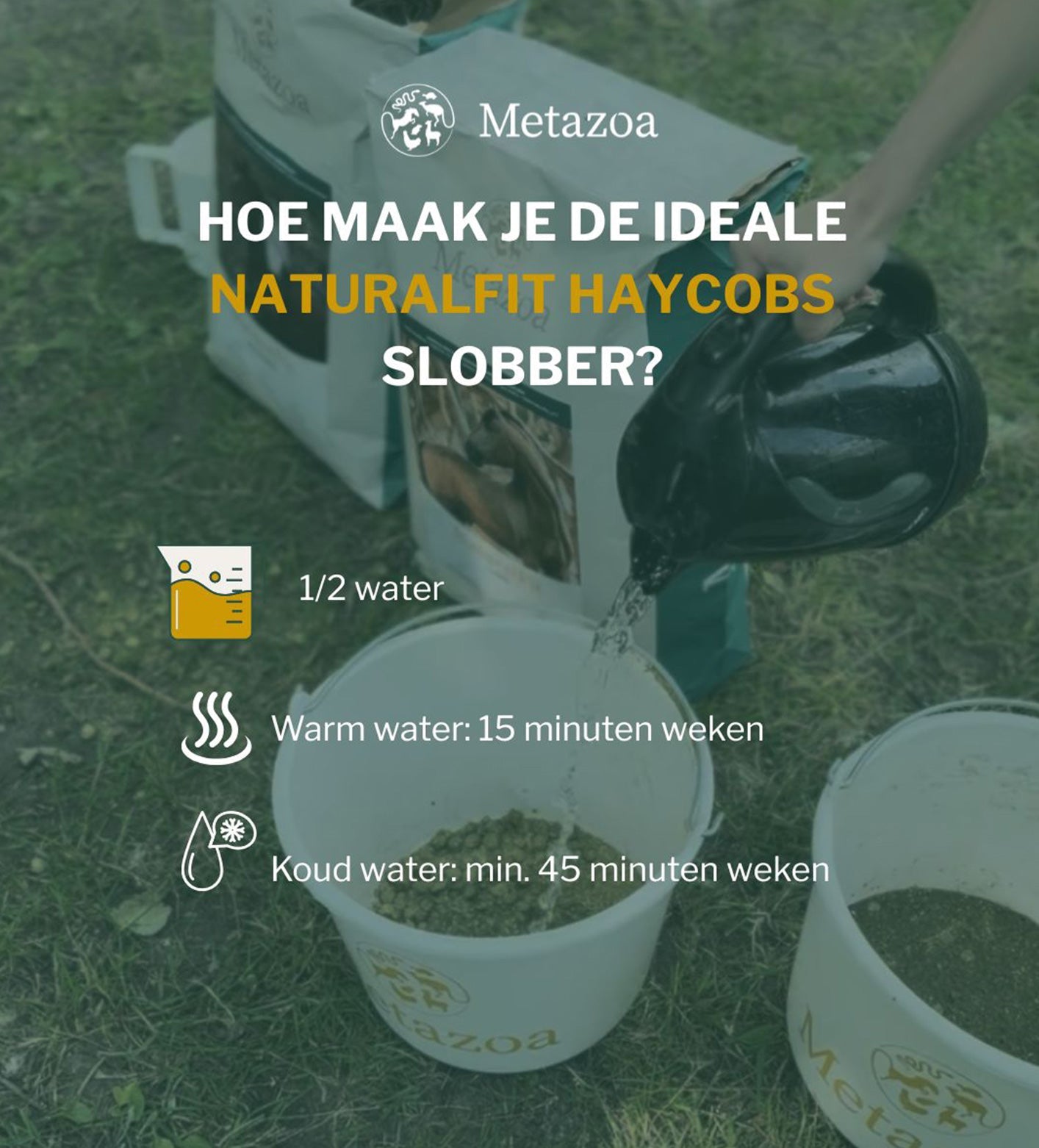 Metazoa | NaturalFit Haycobs Timothee (graanvrije slobber)