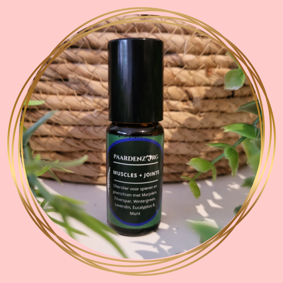Paardenzorg | Muscles + Joints Olieroller