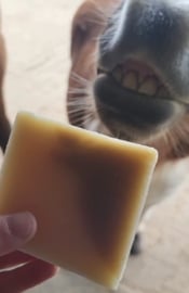 Paardenzorg | Sensitive Soapbar