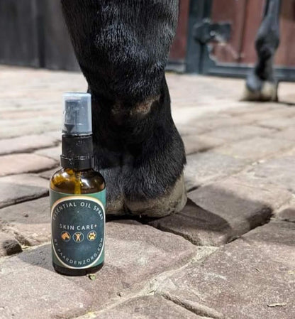 Cura del cavallo | Skin Care + Spray