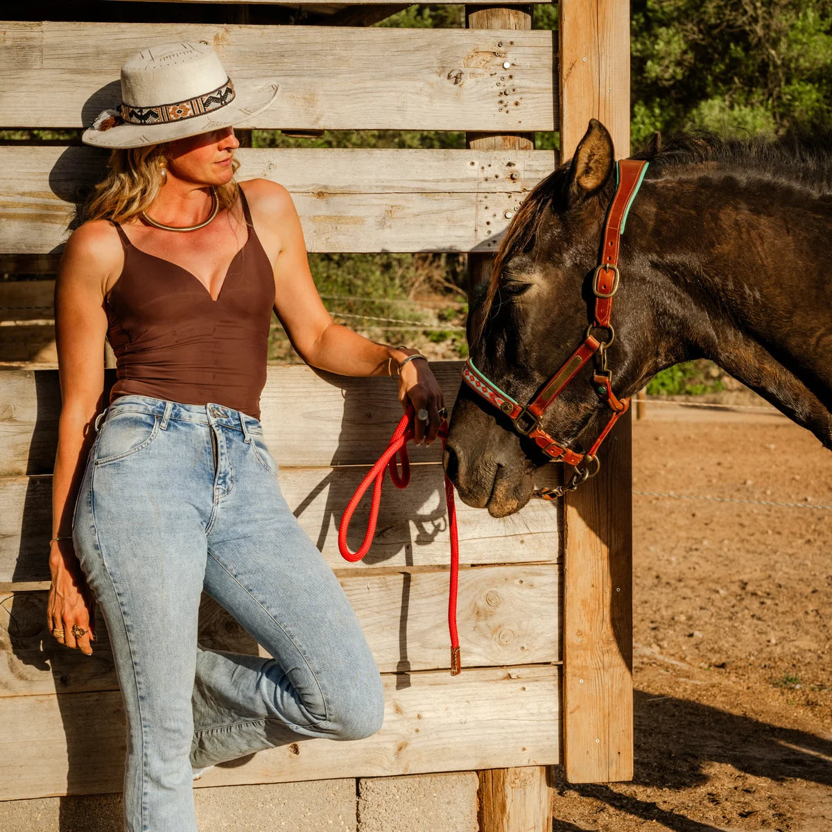 DWAM - Luxury buffalo leather halter with beads Paddy Lee