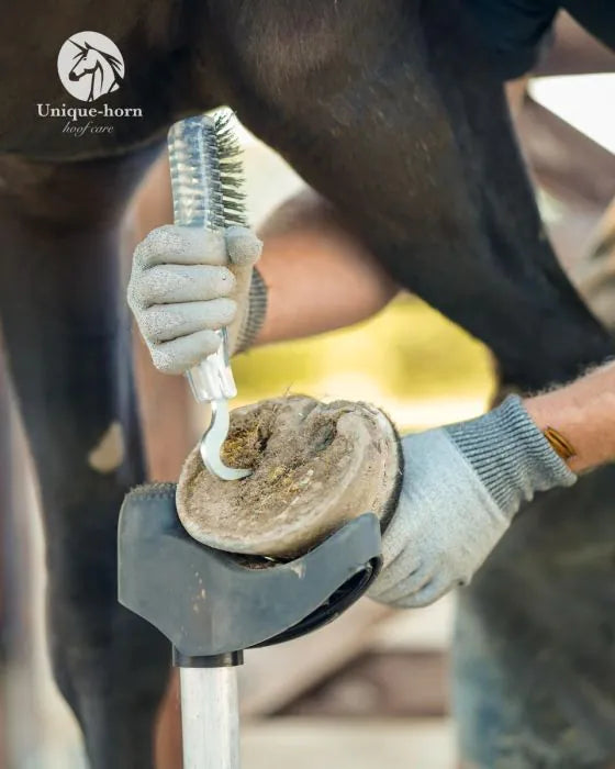 Unique-horn | Titan Hoofpick (sterke hoevenkrabber met staalborstel)