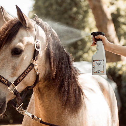 PIPPA - Detangler & Shine spray