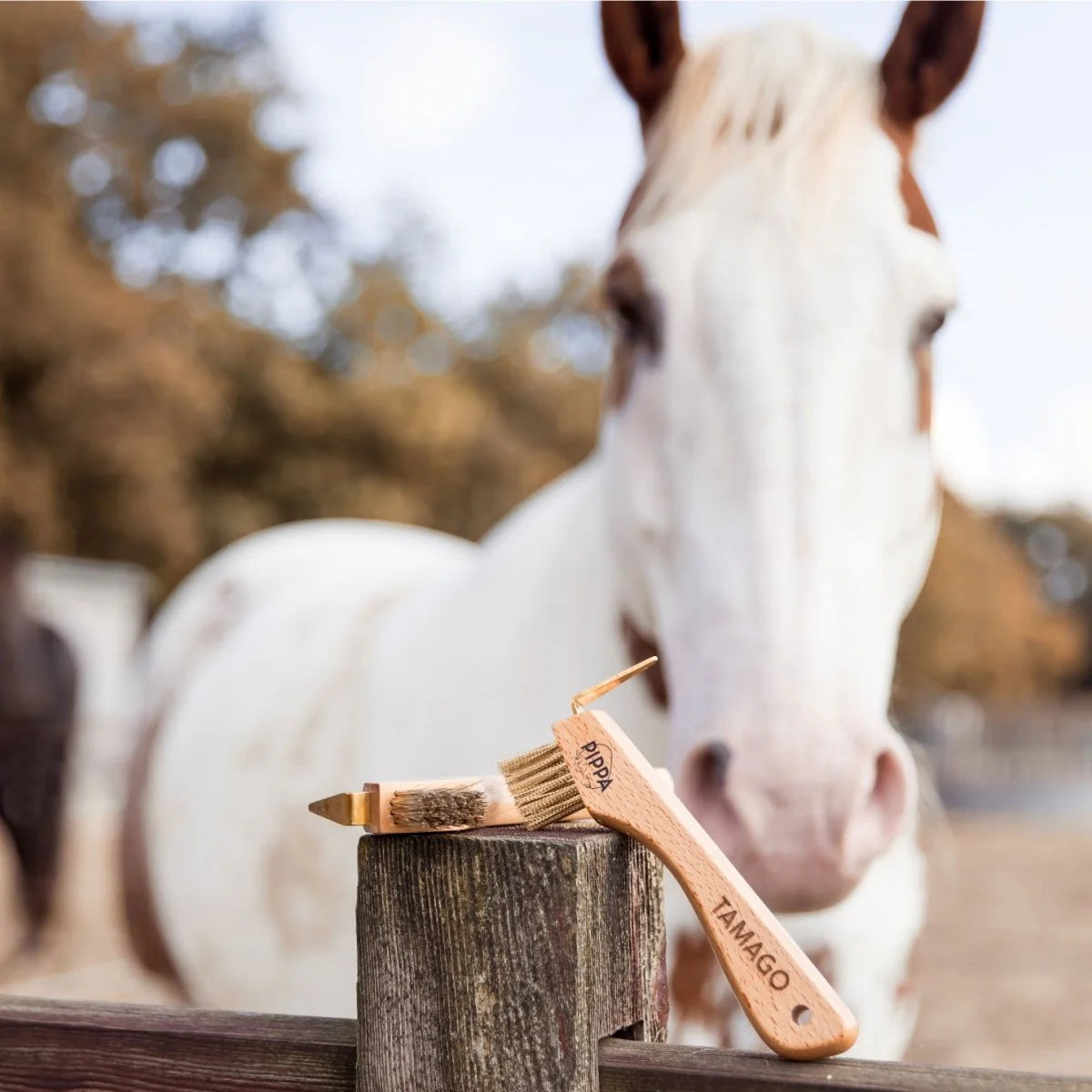 PIPPA - Paardenborstel Hoevenkrabber