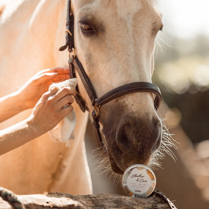 Pippa - Leather & Care Lederwachs