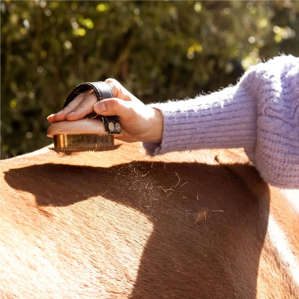 PIPPA - Paardenborstel Metalen Rosborstel