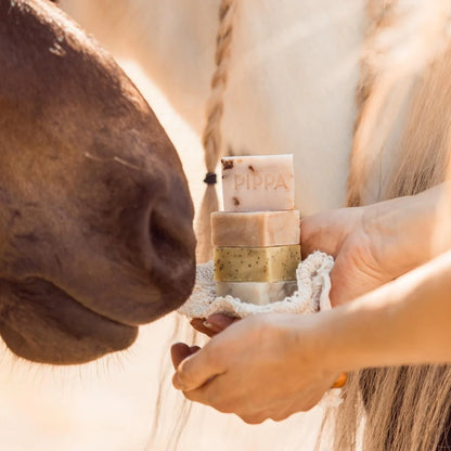 PIPPA - Shampoobar Probierpaket Pferdeshampoo „Originals“ Kollektion  