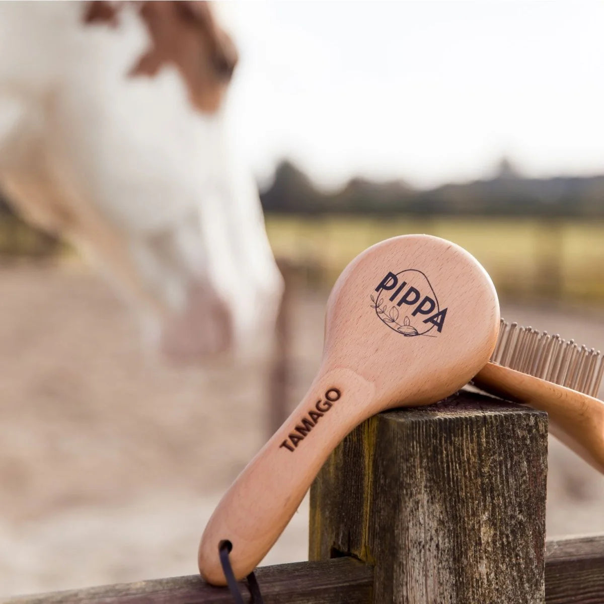 PIPPA - Paardenborstel Staart- en Manenborstel