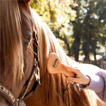 PIPPA - Horse Brush Tail and Mane Brush