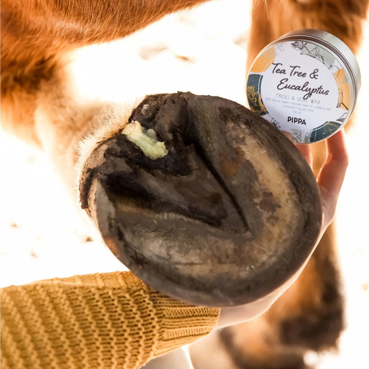 PIPPA - Tea Tree & Eucalyptus Straal en Zool Wax