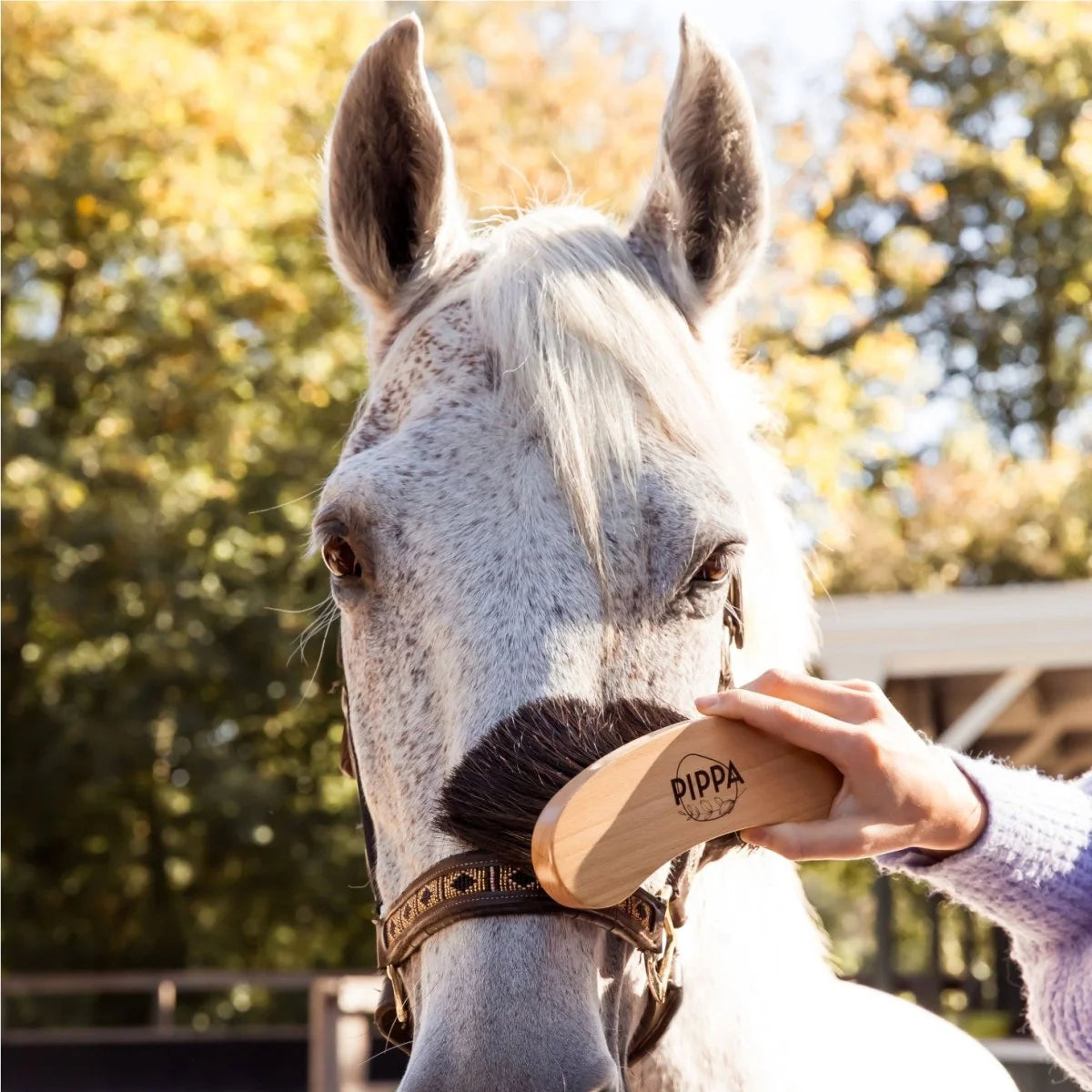 PIPPA - Paardenborstel Zachte Flick Borstel