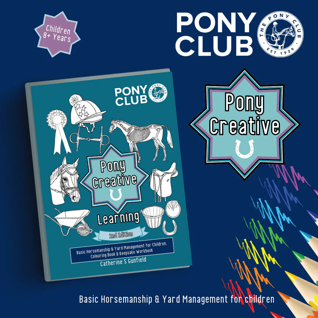 Pony Creative Learning Buch - 8+ Jahre - Englisch
