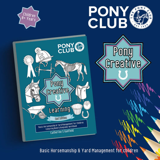 Pony Creative Learning Buch - 8+ Jahre - Englisch