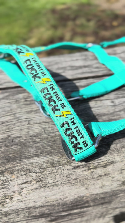 FMH - Nylon turquoise halster ‘Fast as F*CK’