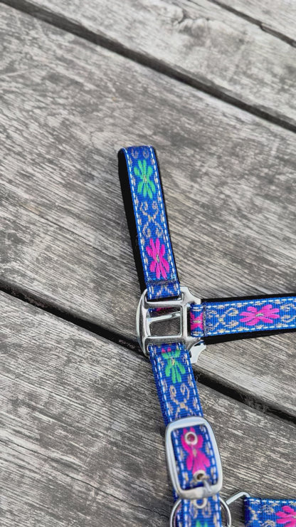 FMH - Nylon blauw halster met bloemen en padding ‘Folklore’