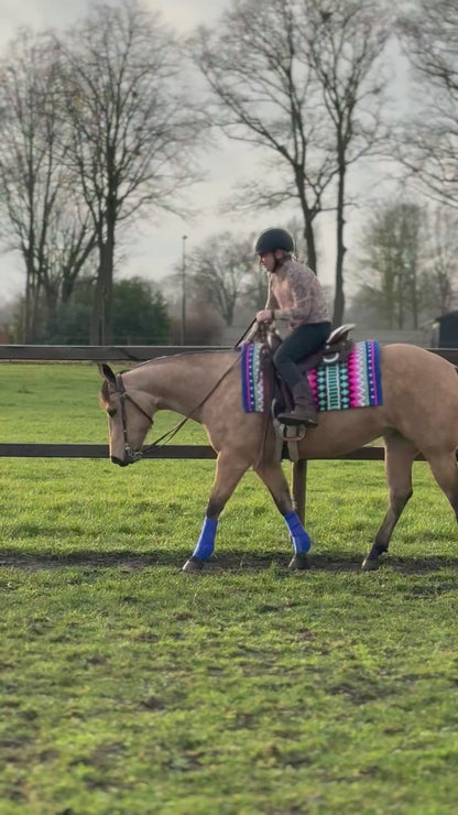 FMH - NeoPro the Solids - Neoprene beenbeschermers boots voor paarden (div. kleuren)