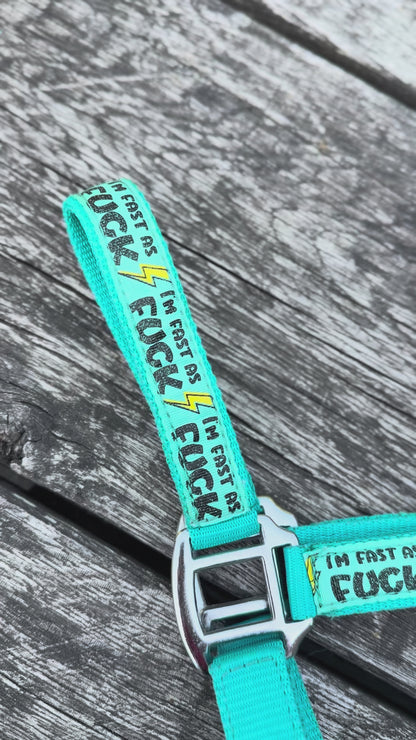 FMH - Nylon turquoise halster ‘Fast as F*CK’