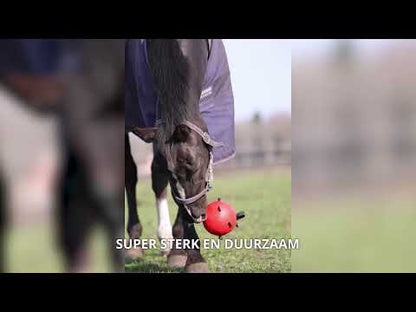 Excellent Horse - Maximus Fun Play Ball speelbal voederbal roze/blauw